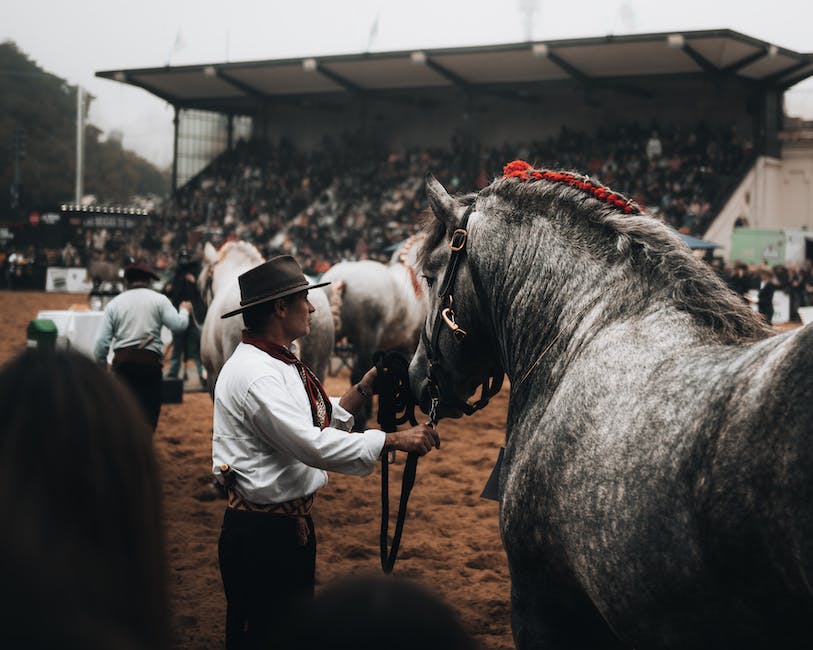  Größtes Pferd der Welt - Shire Horse